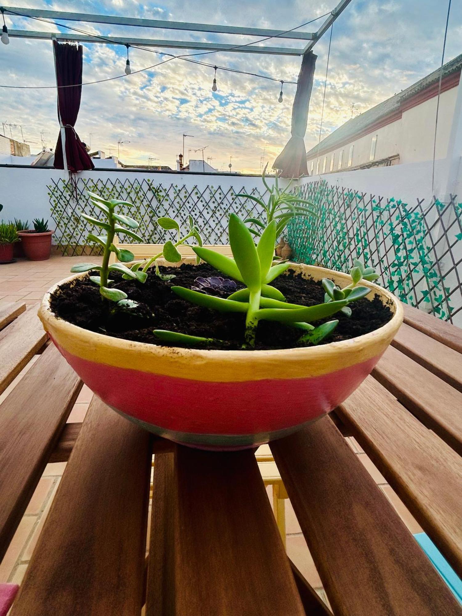 La Azotea Del Sol Apartament *